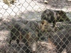 Belize 045
